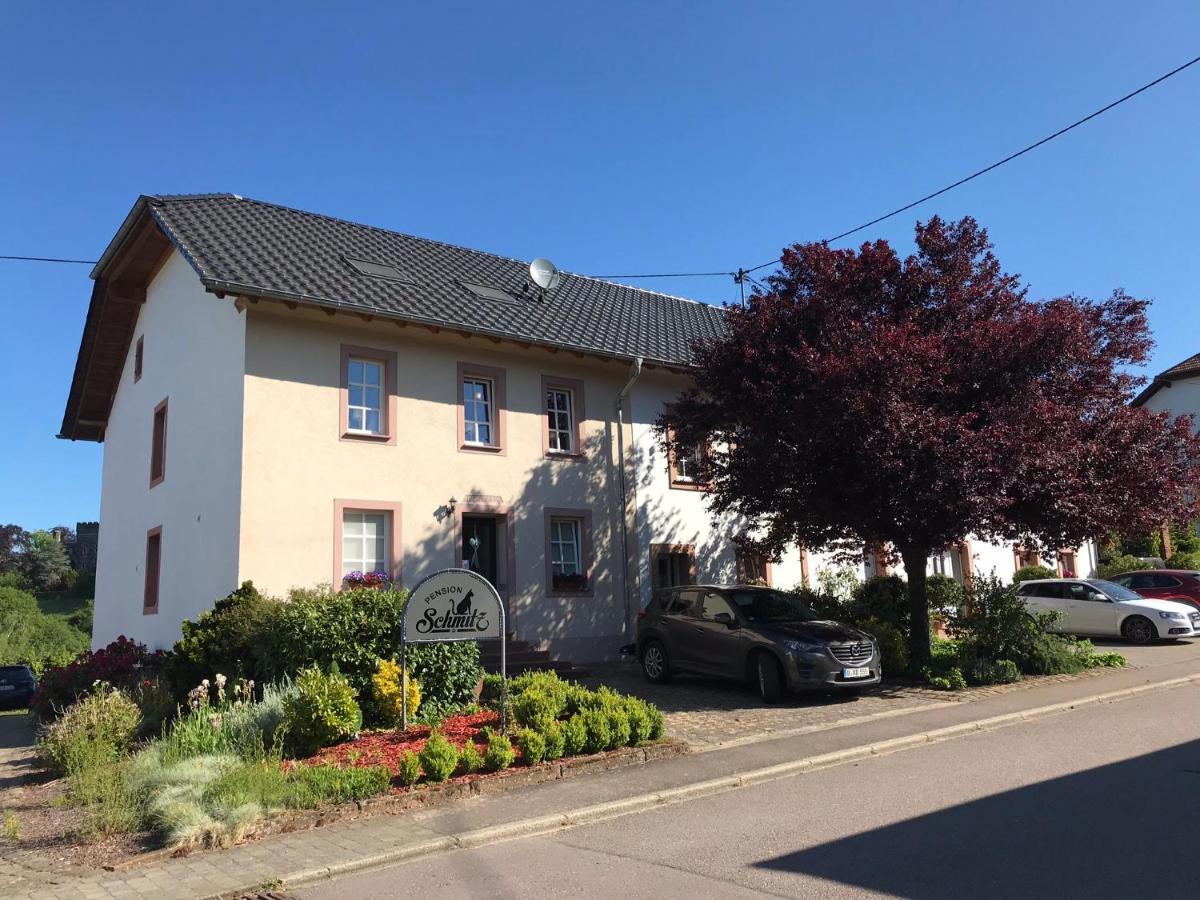 Pension Schmitz Serrig Esterno foto